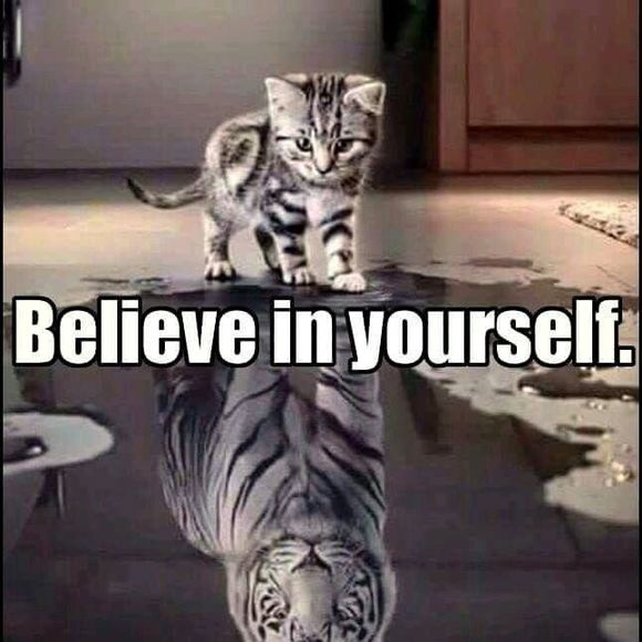 Meet your Posher, Dawn - Picture 1 of 1